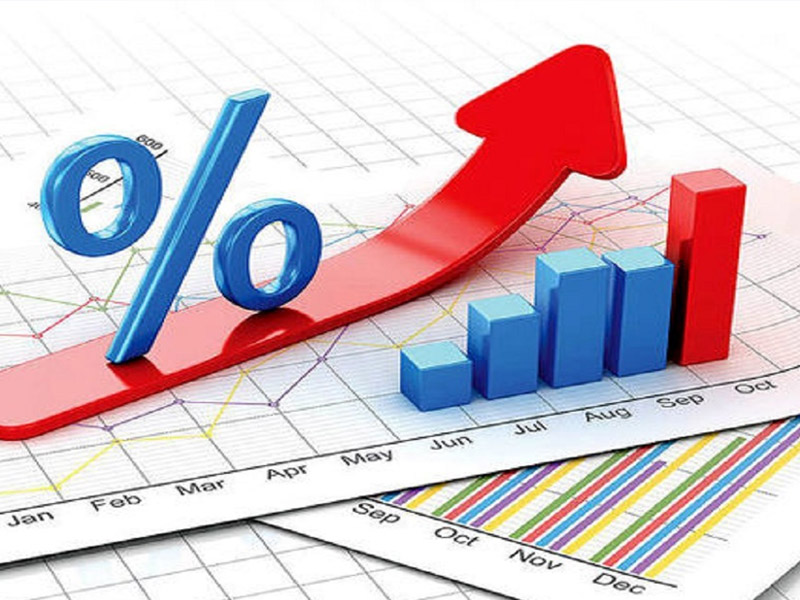 مشارکت در پروزه های اقتصادی